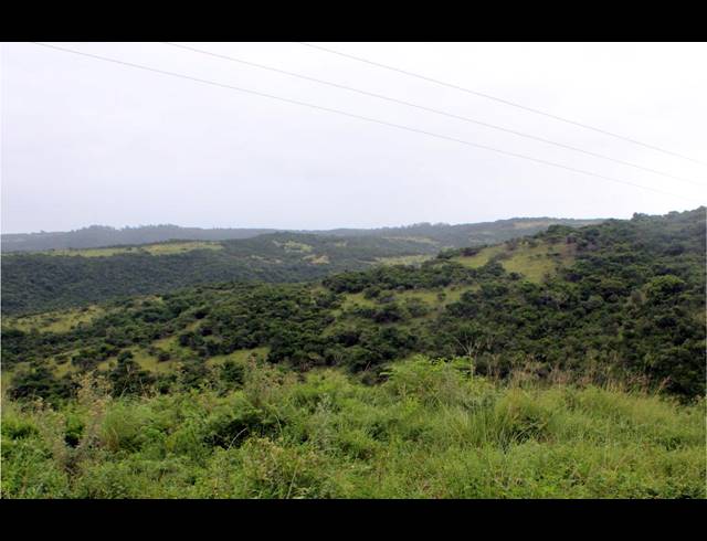 168HA FARM FOR SALE IN EAST LONDON RURAL